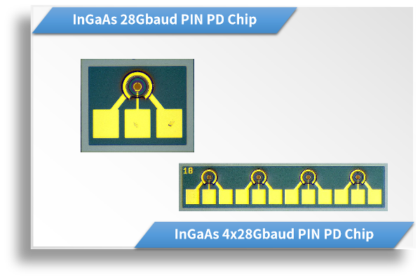 InGaAs 28Gbaud PD Chip / 4x28Gbaud Array PD Chip